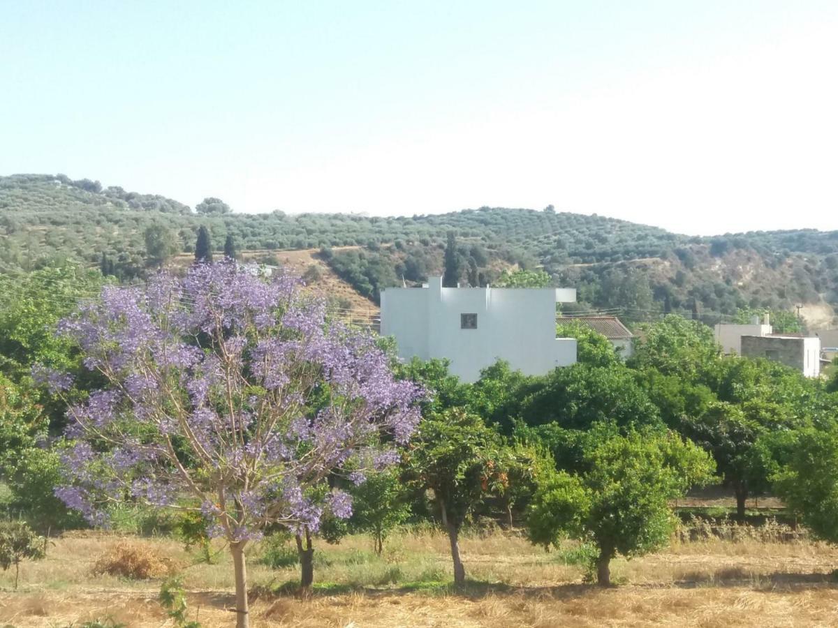 Vrondos Apartments Faneromeni  Exterior photo